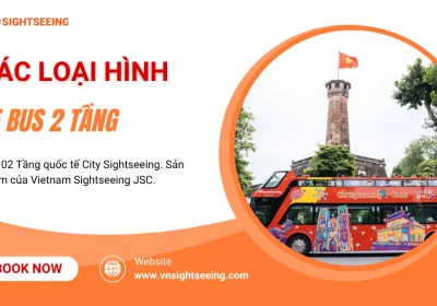 Các Loại Hình Tour Xe Bus 2 Tầng: Hop-on Hop-off, Tour Đêm & City Tour