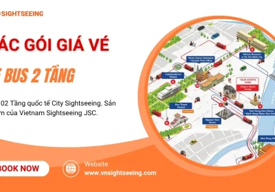 Giá Vé Xe Bus 2 Tầng & Các Gói Tour Phổ Biến (Vé Ngày, Đêm, Combo)