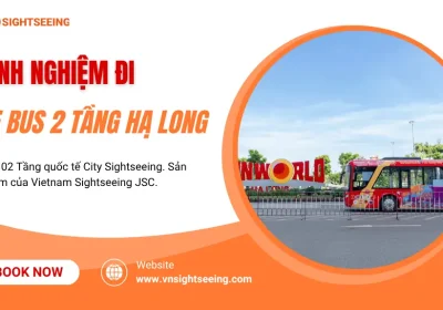 Kinh Nghiệm Đi Xe Bus 2 Tầng Hạ Long: Mẹo Ngắm Vịnh Trọn Vẹn