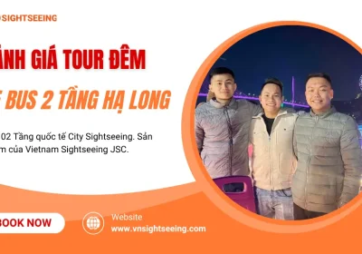 Đánh Giá Tour Xe Bus 2 Tầng Đêm Hạ Long: Có Thực Sự Ngoạn Mục?