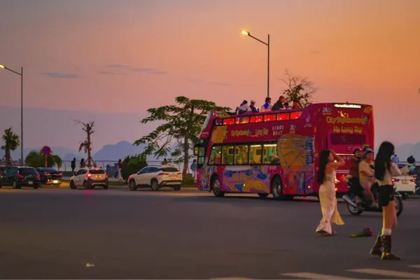 Tour Đêm Hạ Long